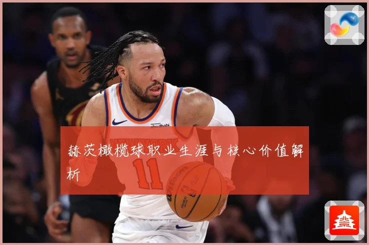 赫茨橄榄球职业生涯与核心价值解析